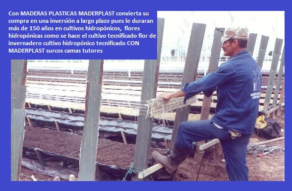 hidroponía cultivo hidropónico en el piso o elevado en niveles con plásticos maderplast surcos tutores hidropónicos bandejas camas recipientes manual de cultivo hidropónico bandejas elevadas 02 hidroponía cultivo hidropónico en el piso o elevado en niveles con plásticos maderplast surcos tutores hidropónicos bandejas camas recipientes manual de cultivo hidropónico hidroponía cultivo hidropónico en el piso o elevado en niveles con plásticos maderplast surcos tutores hidropónicos bandejas camas recipientes manual de cultivo hidropónico bandejas elevadas 02 bandejas elevadas 02